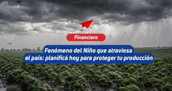 banner-news